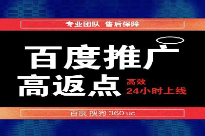 SEM公司案例分析：搜索引擎优化策略与执行
